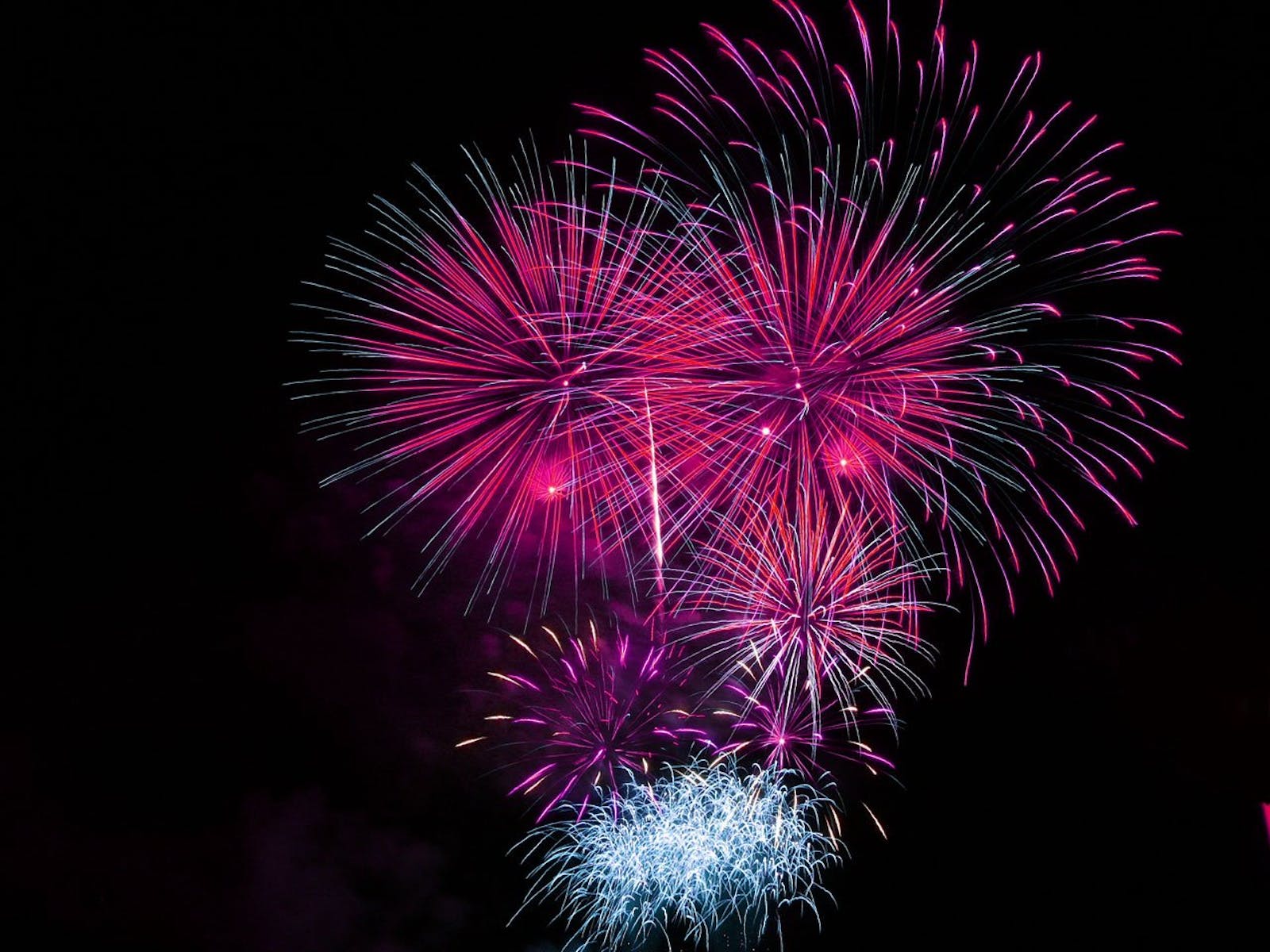 fireworks-celebration-bright-pink-48247
